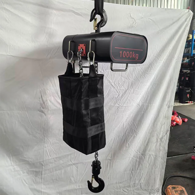 ステージグレード電動チェーンホイスト、1トン電動ホイスト、鍛 - Electric Chain Hoist のレビューと価格